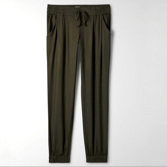 Aritzia lightweight jogger EUC - Picture 2 of 5